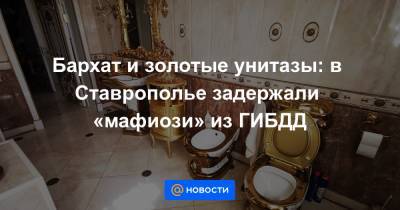 Александр Хинштейн - Алексей Сафонов - Бархат и золотые унитазы: в Ставрополье задержали «мафиози» из ГИБДД - news.mail.ru - Ставрополье