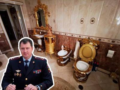 Алексей Сафонов - Особняк с золотым унитазом нашли у начальника ГИБДД Ставрополья - bloknot.ru - Ставрополье