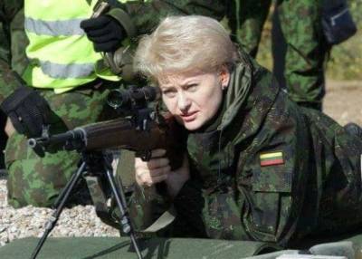 Ведомства должны добиваться, чтобы Д. Грибаускайте возглавила НАТО - obzor.lt - Литва