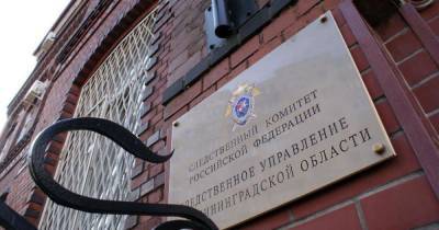 СК: в Мамоново трое иностранцев изнасиловали 34-летнюю женщину - klops.ru - Россия