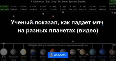Анна Лысенко - Ученый показал, как падает мяч на разных планетах (видео) - news.mail.ru