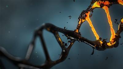 Интересный факт дня: ДНК человека уникальна всего на 1,5% - techno.bigmir.net