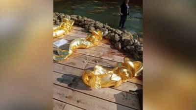 В Петергофе от рук вандалов пострадали дельфины у фонтана "Солнце" - piter.tv