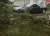 В Бобруйске во время грозы из-за падения деревьев повреждены 12 автомобилей - udf.by - Белоруссия - Минск - Бобруйск - район Несвижский