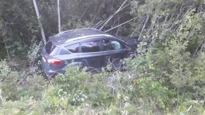 Ford - На Урале автомобиль с шестью детьми попал в ДТП и вылетел в кювет - znak.com - Свердловская обл.