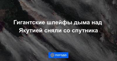 Анна Лысенко - Гигантские шлейфы дыма над Якутией сняли со спутника - news.mail.ru - Россия - респ. Саха