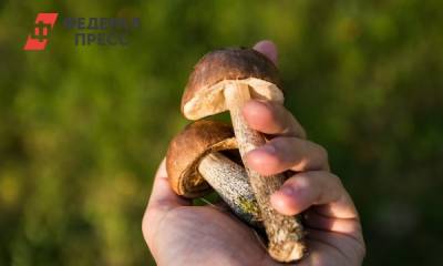 Михаил Вишневский - Миколог сообщил, когда в 2021 году идти в лес за грибами - fedpress.ru - Москва - Россия