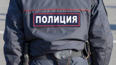 Ирина Волк - Полторы тонны наркотиков найдены в тайнике в Ленобласти - mir24.tv - Россия - Ленинградская обл. - район Тосненский