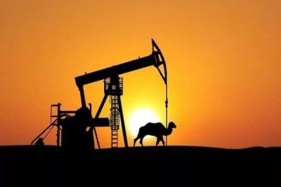 Саудовская Аравия обогнала Россию по поставкам нефти в Китай - newsland.com - Россия - Китай - США - Саудовская Аравия - Малайзия - Эр-Рияд - Ангола - Оман