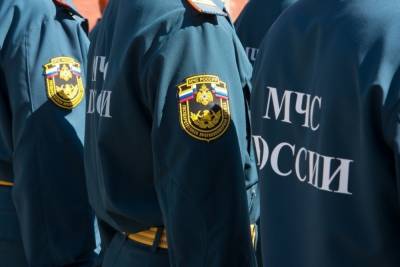 В Тульской области сохранится высокая степень пожароопасности по 24 июля - tula.mk.ru - Россия - Тула - Тульская обл.