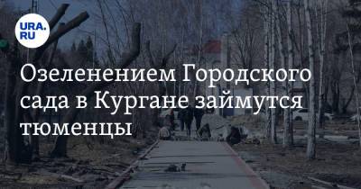 Озеленением Городского сада в Кургане займутся тюменцы - ura.news - Тюмень