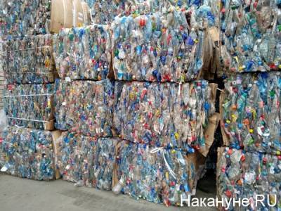 "Мы боремся не столько с пластиком, сколько с неперерабатываемой упаковкой" - РЭО - nakanune.ru