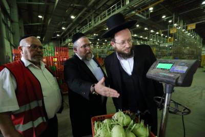 Авигдор Либерман - Израильский рынок кашрута откроется для конкуренции - news.israelinfo.co.il