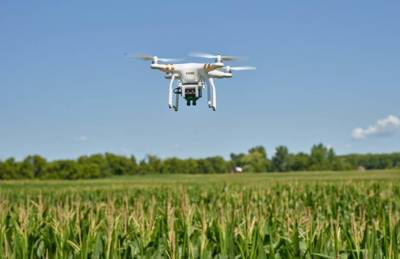 Cygnet тестирует дроны для опрыскивания кукурузы - agroportal.ua - Украина