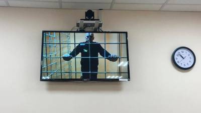 Алексей Навальный - В Москве задержали активиста с плакатом "Свободу Алексею Навальному" - svoboda.org - Москва - Россия - Германия