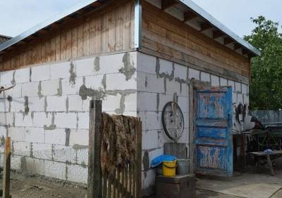 В Рязанской области 12-летний ребенок чуть не задохнулся в погребе с битумом - ya62.ru - Рязанская обл.