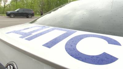 Пьяная пара избила и попыталась задушить инспектора ДПС на дороге в Воронежской области - vestivrn.ru - Воронежская обл. - Борисоглебск