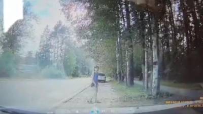 Полиция задержала мужчину, напавшего на сотрудника фотофиксации в Токсово - piter.tv - Ленинградская обл. - Санкт-Петербург - р-н Всеволожский - Нападение