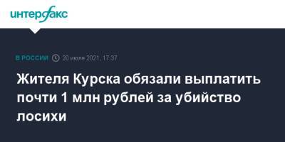 Жителя Курска обязали выплатить почти 1 млн рублей за убийство лосихи - interfax.ru - Москва - Курск