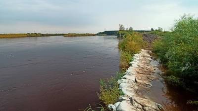 Томь может затопить более 200 дачных участков в Белогорске - vesti.ru - Россия - Амурская обл. - Белогорск