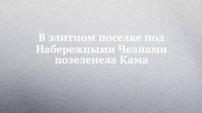 В элитном поселке под Набережными Челнами позеленела Кама - chelny-izvest.ru - Набережные Челны - Экология