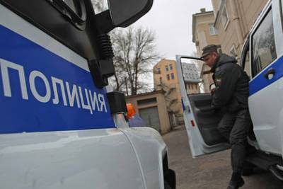 Ирина Волк - В селе под Петербургом обнаружили полторы тонны метамфетамина - lenta.ru - Россия - Ленинградская обл. - Санкт-Петербург - район Тосненский