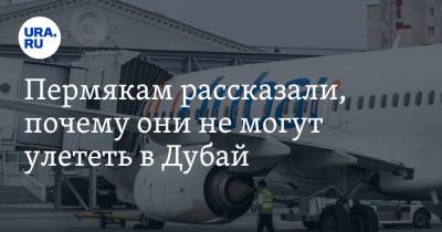 Пермякам рассказали, почему они не могут улететь в Дубай - ura.news - Пермь