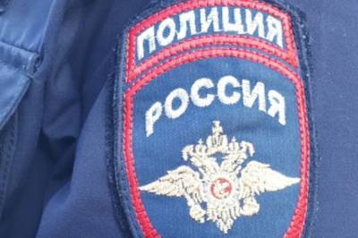Ирина Волк - В Ленобласти полицейские нашли полторы тонны метамфетамина - aif.ru - Россия - Ленинградская обл. - Севастополь - район Тосненский