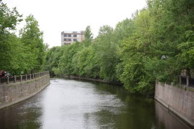Вода в реках Петербурга сильно испортилась из-за аномальной жары - spb.mk.ru - Санкт-Петербург - Экология