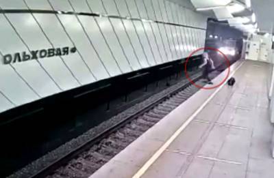 В Москве пассажир прыгнул под приближающийся поезд в метро и сам вылез между вагонов (видео) - sharij.net - Москва - Киев - Минск
