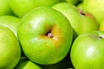 Врач рассказала, кому нельзя употреблять зеленые яблоки - grodnonews.by - Белоруссия