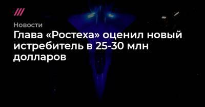 Владимир Путин - Юрий Борисов - Глава «Ростеха» оценил новый истребитель в 25-30 млн долларов - tvrain.ru - Россия