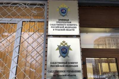 Тульские следователи проводят проверку по сообщению о противоправных действиях в отношении женщины и ее ребенка - tula.mk.ru - Россия - Тула - Тульская обл.