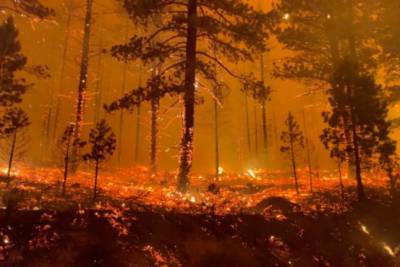 Огненный апокалипсис: США охватили масштабные лесные пожары - rupor.info - США - шт.Аляска - шт. Калифорния - штат Орегон - штат Айдахо