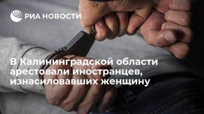 СК сообщил об аресте трех иностранцев, обвиняемых в изнасиловании жительницы Калининградской области - ria.ru - Россия - Калининград - Калининградская обл.