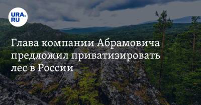 Роман Абрамович - Глава компании Абрамовича предложил приватизировать лес в России - ura.news - Россия