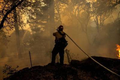 Площадь природных пожаров на западе США превысила 500 тыс. га - trend.az - США - Вашингтон - шт. Калифорния - штат Монтана - штат Орегон - штат Айдахо