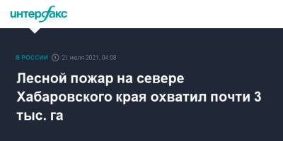 Лесной пожар на севере Хабаровского края охватил почти 3 тыс. га - interfax.ru - Москва - Хабаровский край - район Николаевский