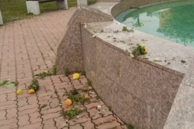 В центре Комсомольска-на-Амуре вандалы засорили фонтан цветами из клумбы - hab.aif.ru - Комсомольск