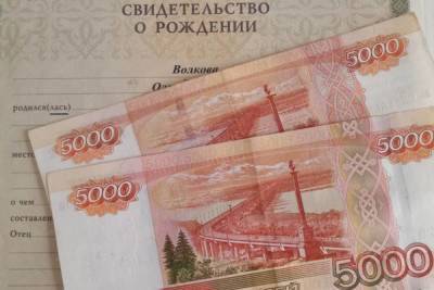 Костромские родители за неделю подали 50 тысяч заявлений на получение «путинских пособий» - kostroma.mk.ru - Россия - Костромская обл.