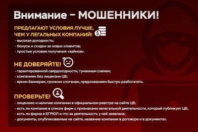 Грабители из пирамид: как не стать жертвой инвестиционных мошенников - tayga.info - Россия - Новосибирск