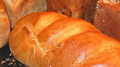 В августе в России может подорожать хлеб - afanasy.biz - Россия