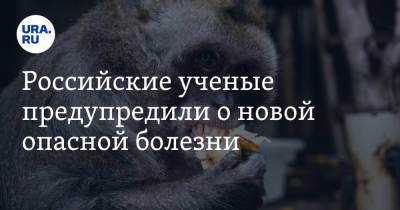 Российские ученые предупредили о новой опасной болезни - ura.news - Техас - Нигерия
