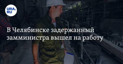 Виталий Безруков - В Челябинске задержанный замминистра вышел на работу - ura.news - Челябинская обл. - Челябинск - Экология