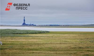 На Ямале через Avito продают месторождение нефти - fedpress.ru - Тула - Салехард