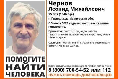 В Ивановской области уже полмесяца не могут найти мужчину - mkivanovo.ru - Приволжск - Ивановская обл.