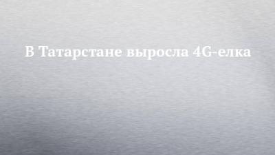 В Татарстане выросла 4G-елка - chelny-izvest.ru - респ. Татарстан - Казань - Нижнекамск - Альметьевск - район Нижнекамский