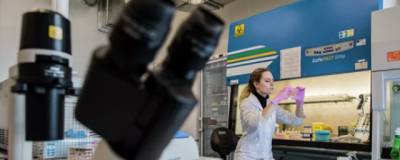 В США подтвержден случай заражения человека вирусом оспы обезьян - runews24.ru - Россия - США - Нигерия