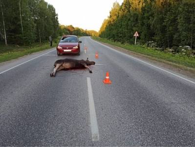 ДТП на автодороге Кунгур-Соликамск - iskra-kungur.ru - Россия - Пермь - Соликамск