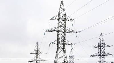 Игорь Сокол - Беларусь за январь-май поставила Украине электроэнергии на рекордные $25 млн - belta.by - Украина - Белоруссия - Минск